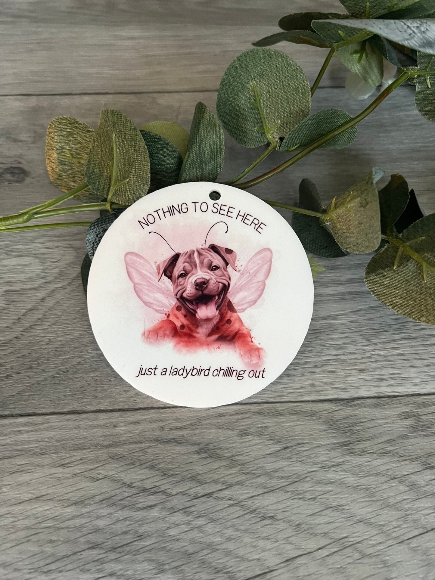 XL Bully keepsake | Funny XL Bully keepsake | XL bully foundation | Decoration