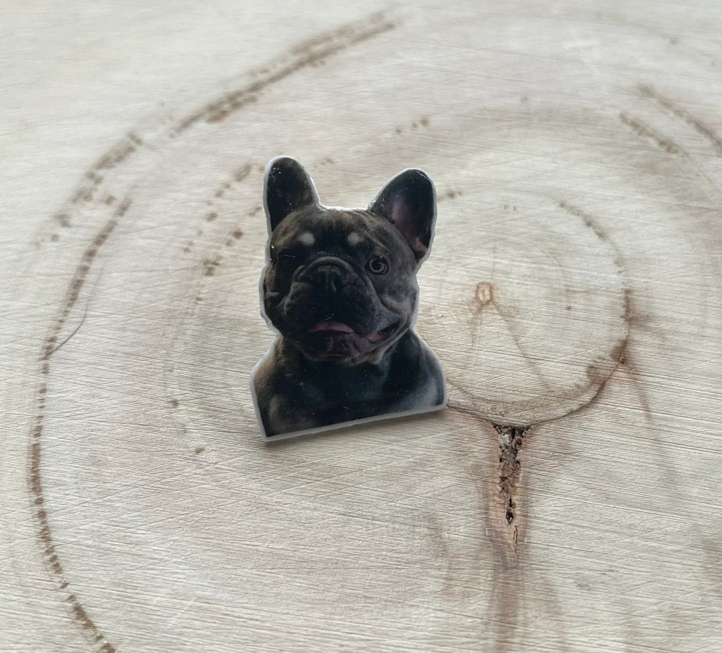 Custom Croc Charm | Personalised Pet Croc Jibbitz | Handmade Croc Charm | Shoe Charm |