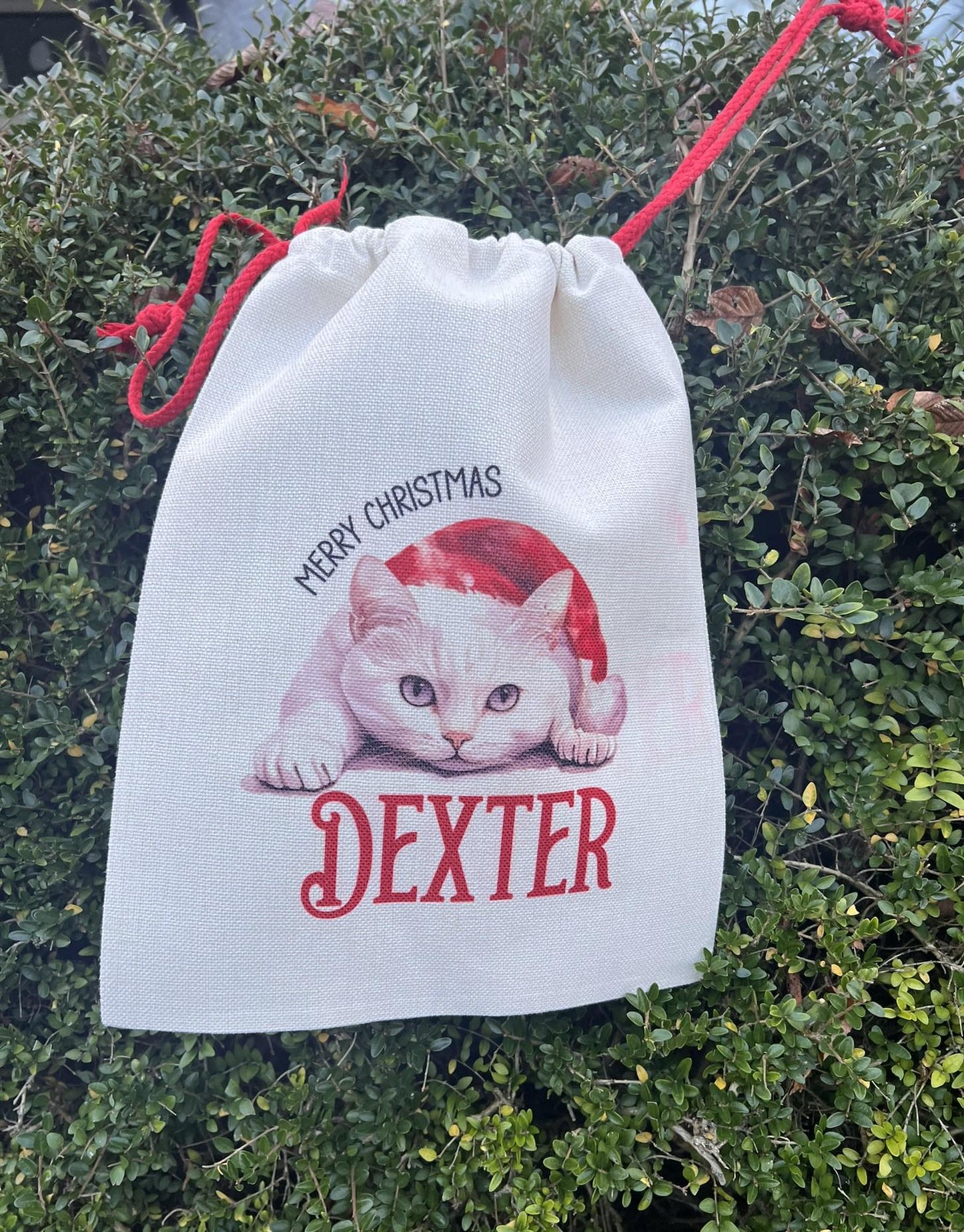 Personalised Pet Christmas Sack | Custom Dog Christmas Gift Bag | Personalised Pet Santa Sack | Dog/Cat Christmas Eve Bag | Pet Lover Christmas Gift
