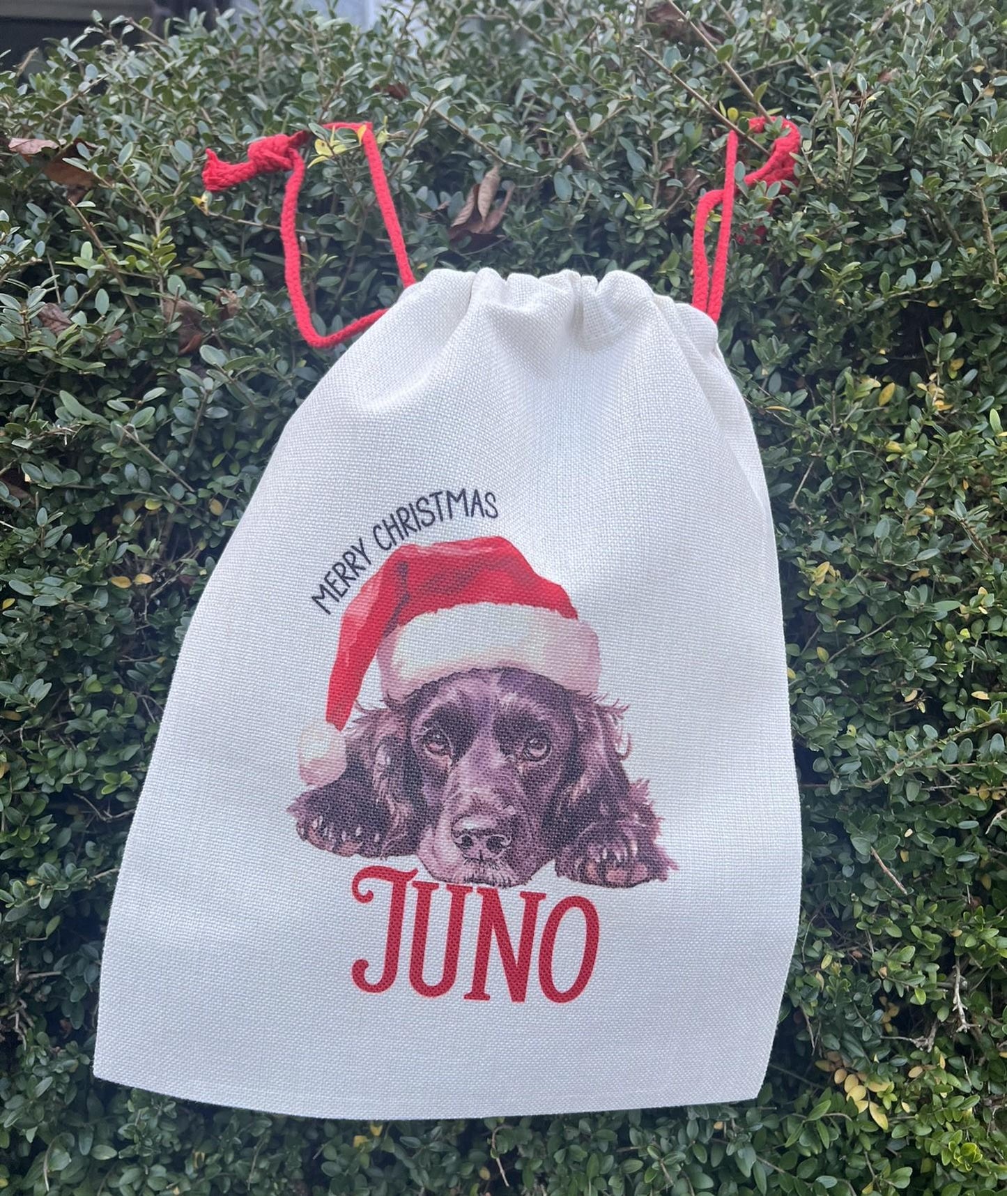 Personalised Pet Christmas Sack | Custom Dog Christmas Gift Bag | Personalised Pet Santa Sack | Dog/Cat Christmas Eve Bag | Pet Lover Christmas Gift